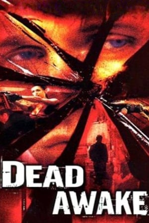 Dead Awake 2001 Hindi Dual Audio [1GB]