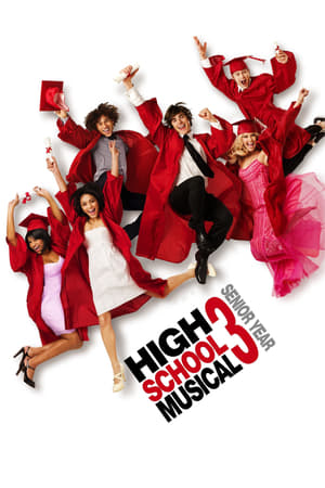 High School Musical 3 (2008) Hindi Dual Audio [950MB]