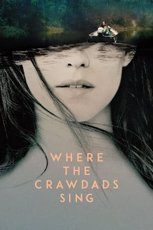 Where the Crawdads Sing (2022) Hindi Dual Audio – 480p